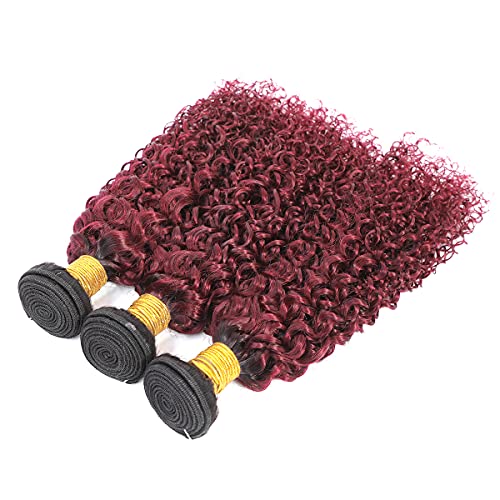Feelgrace (Fast Delivery) Ombre Bundles Kinky Curly Hair 3 Pieces for Women 1B 99J Wet and Wavy Human Hair Weave Bundles from Unprocessed Brazilian Remy Hair (18 20 22 inch)