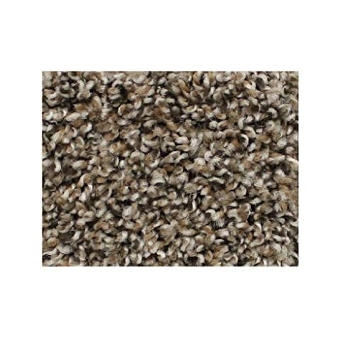 KOECKRITZ 1 - Sample Swatch Copper Mine Carpet, Economical Solutions Warm Touch 5/8" Multicolored Fibers with a Twist! Cover