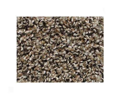 KOECKRITZ 1 - Sample Swatch Copper Mine Carpet, Economical Solutions Warm Touch 5/8' Multicolored Fibers with a Twist!