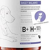 Beruhigungstabletten für Hunde – Bei Stress, Angst & Reisen – Mit Baldrian, Johanniskraut & Lavendel – Pflanzlich – 40 Stück – animaux Daily Balance