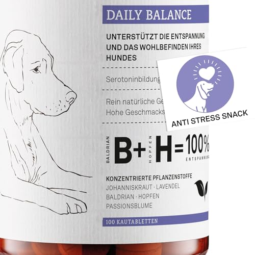 Beruhigungstabletten für Hunde – Bei Stress, Angst & Reisen – Mit Baldrian, Johanniskraut & Lavendel – Pflanzlich – 40 Stück – animaux Daily Balance