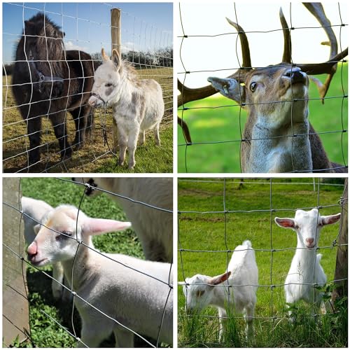 Farm Fence 3ft x 164ft Heavy Zinc Coating Cattle Fence,Galvanized Field Wire Fencing Deer Goat Hog Wire Fencing for Yard Livestock & Animals Protection by YESON - Image 6