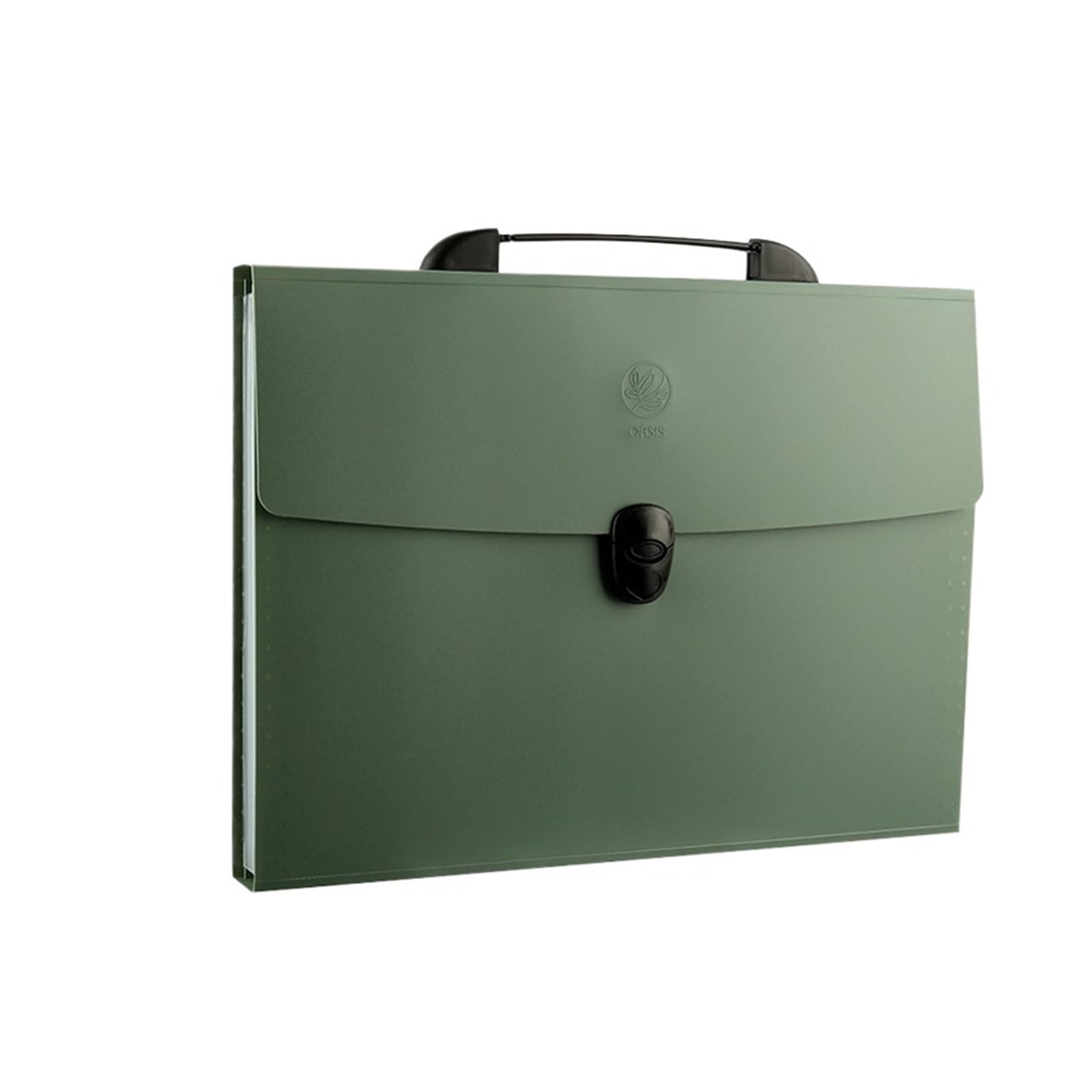 Borse di File Mesh Cartella portadocumenti A4, a strati, elegante, organizer da scrivania for materiale scolastico, ufficio, carta for test, cancelleria(Green)