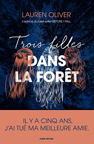 Broken things [French] 2226442502 Book Cover