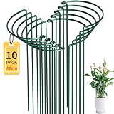 10 Stück Pflanzenstützen Staudenhalter Halbrund 25x60cm - 4mm Verstärkter Stahldraht Metall Pflanzenhalter Grün Rostschutz für Pfingstrosen, Hortensien, Rosen, Dahlien - Windschutz Gartenstütze