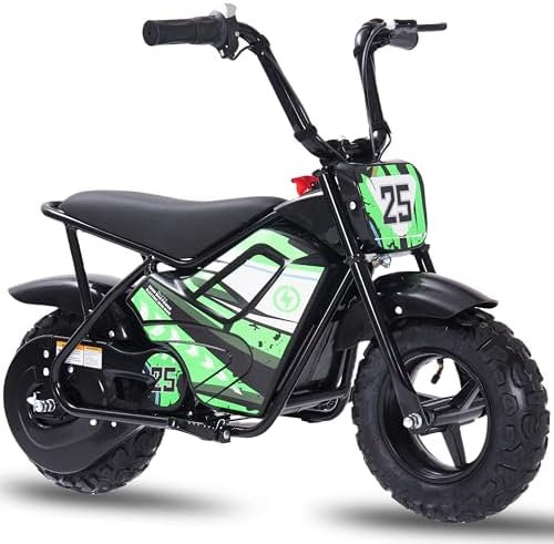 Electric Bike for Kids E Bikes Mini Dirt Bike Motorbike 250W 24V 9Ah Eletric Scooter Fast Dirtbike 2-Speed 10/12Mph 3-10 Old Teens Moped