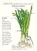 White Lisbon Bunching Onion Seeds - 2 grams