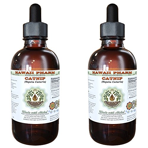 Catnip Alcohol-Free Liquid Extract, Organic Catnip (Nepeta Cataria) Dried Leaf and Flower Glycerite Hawaii Pharm Natural Herbal Supplement 2x4 oz