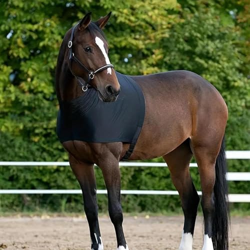 Sleezy para caballo transpirable ideal para transporte y descanso en box 7