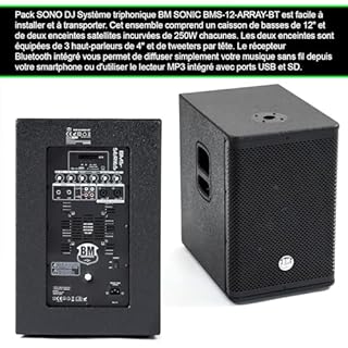 Pack Sono DJ Complet BM Bmsonic BMS-12-ARRAY-BT, 1000W, Enceintes Satellites, Caisson 31cm USB/Bluetooth, Supports Câbles