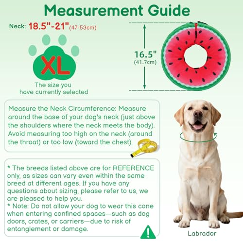 Image of Dog Cone, No-Inflation Sponge Donut Collar for Dogs After Surgery