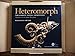 Heteromorph: The Rarest Fossil Ammonites: Nature at its Most Bizarre