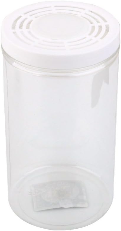 Terrarium Reptile Snake Insect Spider Tarantula Bug Box Tank (L) by Generic
