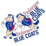 Desert Cactus Philadelphia 76ers & Delaware Blue Coats Sticker (T2-1)