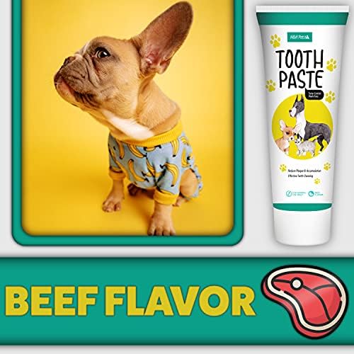 Do Dogs Really Need Toothpaste