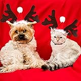Weihnachten Haustier Stirnband, Hund Katze Rentier Geweih Weihnachtskostüm Elch Kopfbedeckung Verstellbare Kopfschmuck Haarreif mit Weihnachtsmütze, Weihnachts Kostüm Outfit für Hunde Katzen Geschenk