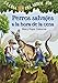 La casa del árbol # 20 Perros salvajes a la hora de la cena / Dingoes at Dinnertime (Spanish Edition) (Magic Tree House)