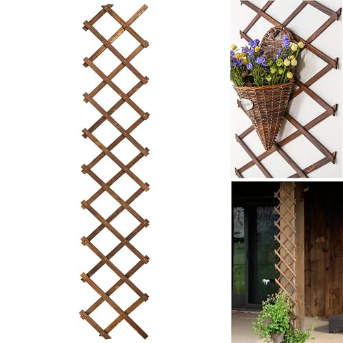 Wooden Lattice Wall-Expandable Plant Garden Trellis for Climbing Plants Outdoor Air Plant Vertical Rack Wall Decor for Room Patio