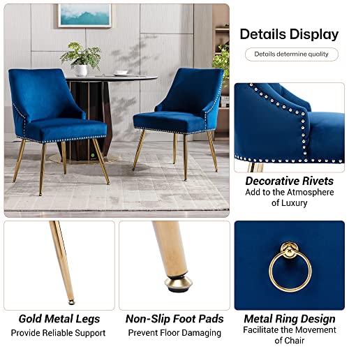 Kcc Velvet Dining Chairs Set Of 2 Upholstered Accent Chairs Side Chairs Modern Guest Chair With Gold Legs For Living Room Bedroom Reception Room (Blue) #TOP3