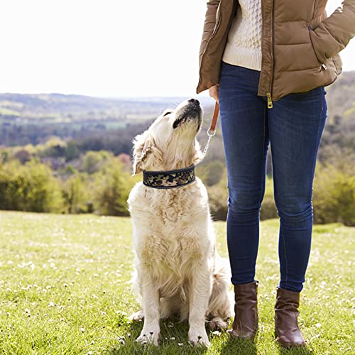 Dog Collar For Large Dogs, Padded Reflective Dog Collar Heavy Duty Dog Collar 2" Width Dog Collar Adjustable Stainless Steel Buckle For Medium Large Dog Pit Bull/Bulldog/Breeds #TOP5