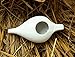 Handmade Ayurvedic Ceramic Neti Pot for Nasal Cleansing & Sinus| Premium Handcrafted Durable, Dishwasher Safe, for Nasal Cleansing + 5 Sachet Neti Salt, 225 Ml. (7.6 FL Oz) Capacity -White Color