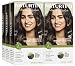 Naturtint Permanent Hair Color - 4G Golden Chestnut, 5.28 fl oz (6-pack)