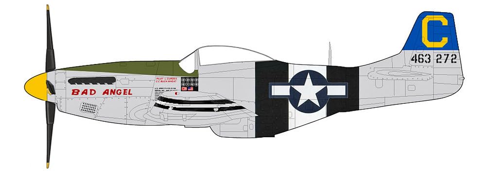 Amazon.co.jp: HOBBY MASTER 1/48 P-51D Mustang Bad Angel Finished