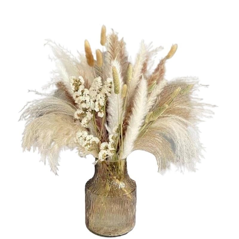 Pampas Grass Large Dried Pampas Grass Natural 70pcs miniatura 2