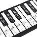 Drfeify Autocollants de Clavier de Piano électronique, étiquettes Amovibles Autocollants Notes pour Piano 88 clés(Transparent)