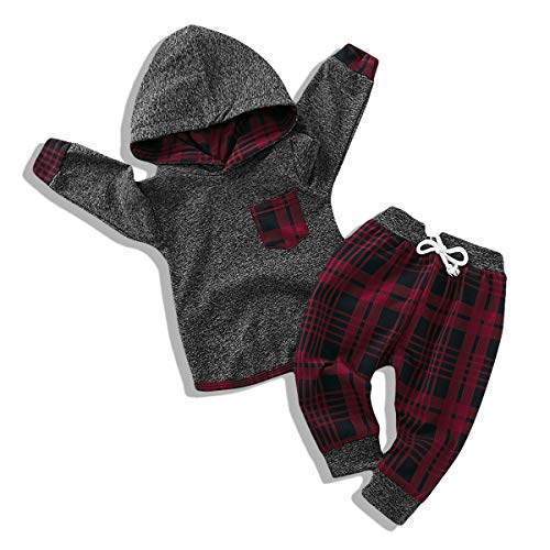 Image of Renotemy Toddler Infant Baby Boy Clothes Outfit Long Sleeve Dinosaur Hoodie Sweatshirt Fall Winter Clothes for Toddler Boy