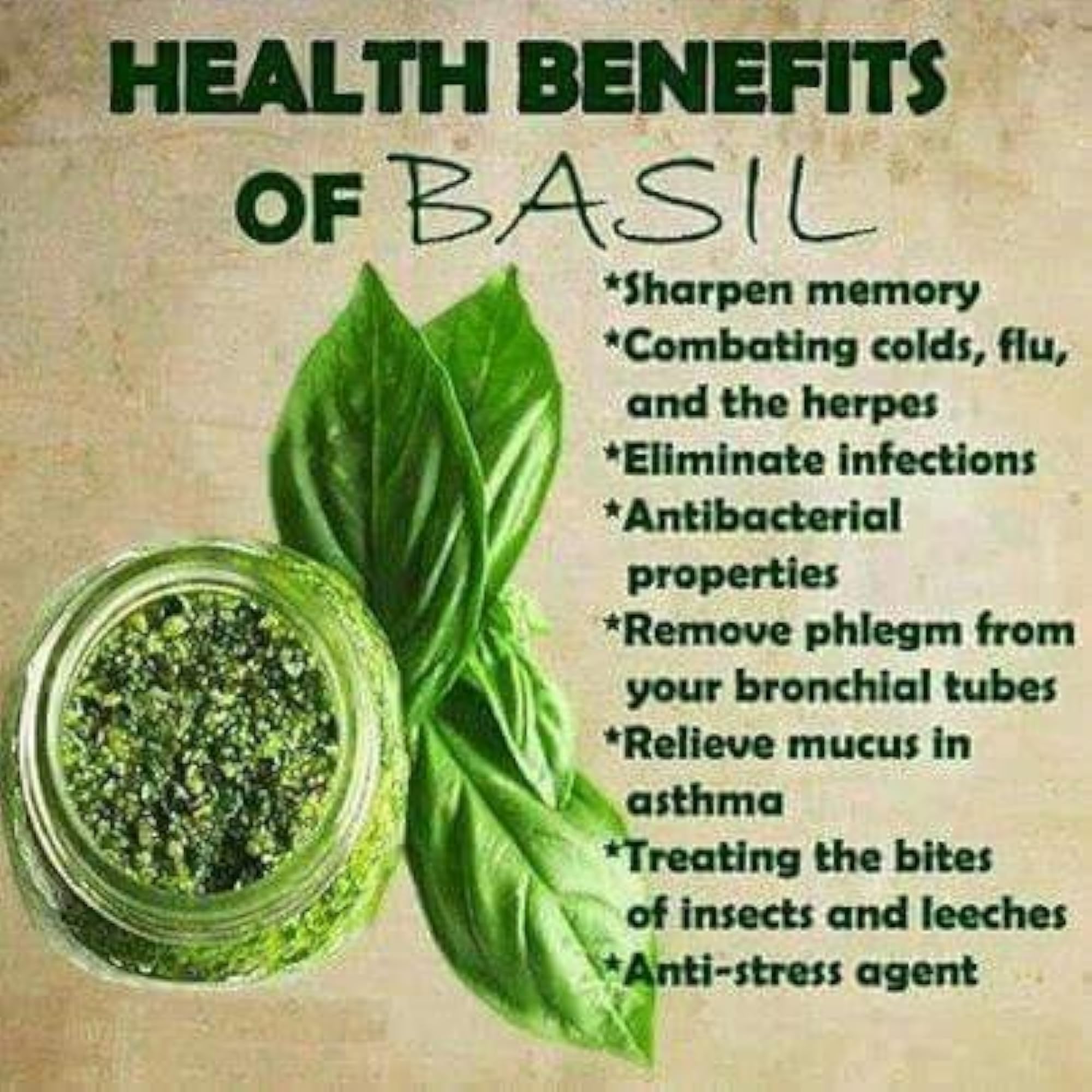 Ayur Amrit Holy Basil Powder, Organic Herbal Supplement, Pack of 4