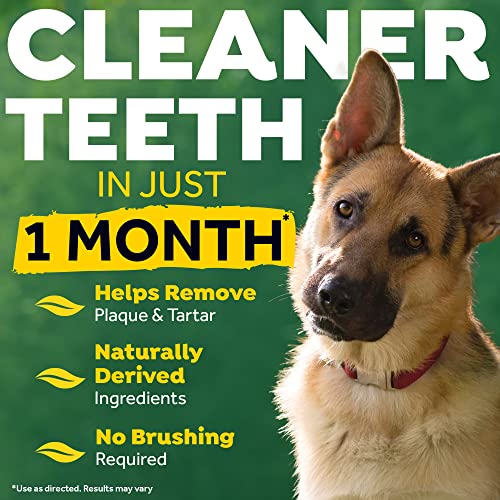 Tropiclean Fresh Breath For Dogs | No Brush Dental Gel For Dogs | Dog Dental Gel & Toothpaste For Plaque, Tartar & Stinky Breath | Made In The Usa | 2 Oz #TOP3