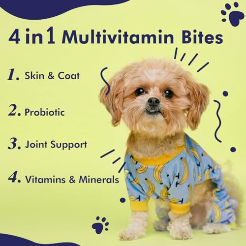 Multivitamin Treats for Canine  Glucosamine Chondroitin for Joint Help + Digestive Enzymes  Probiotics  Grain Free Canine Vitamin for Pores and Skin  Coat + Immune Well Being  60ct  Cucciolini Doodles Multivitamin treats for canine  glucosamine chondroitin for joint help + digestive enzymes  probiotics  grain free canine vitamin for pores and skin  coat + immune well being  60ct   cucciolini doodles