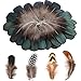 MWOOT 200 Natur Federn zum Basteln, Deko Bastelfeder, Klein Hühnerfeder für DIY Traumfänger Halloween Kostüm Karneval Masken Weihnacten Kranz Ostern Zubehör, Schwarz Braun Grün Federn, Crafts Feather
