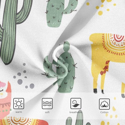 Colorful Alpaca Cactus Llamas Toddler Girls's Underwear 2T 202c12253