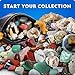 National Geographic Rock Collection Box for Kids – 300 Piece Rock Set with Real Gemstones, Crystals & Minerals - Includes Absolute Expert: Rocks & Minerals Full-Color Book (Amazon Exclusive)