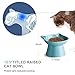 Ceramic Elevated Cat Bowl, Raised Cat Food Water Bowl for Indoor Cats with Stand, Titled Anti-Vomiting Cat Dish，Whisker Friendly, All Life Stage