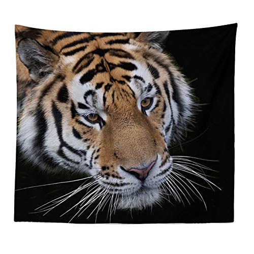 【カムトラ】贈り物ツクト タペストリー (フルプリント)