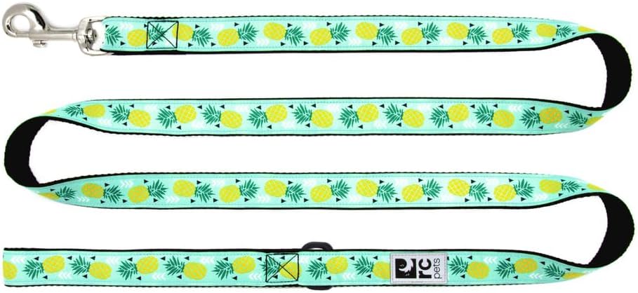 RC Pets 3/4" x 6 ft Dog Leash, Pineapple Parade