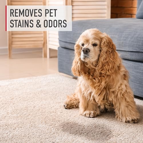 Image of Hoover OnePwr Vacuum Filter for FloorMate Jet Vacs, Reusable, High-Performance Filtration, Part # AH45201, Hoover Hardfloor Vacuum Filters Replacement