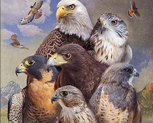Mosaïque point de croix aigle de mer cadeau créatif idéal 30x40 cm