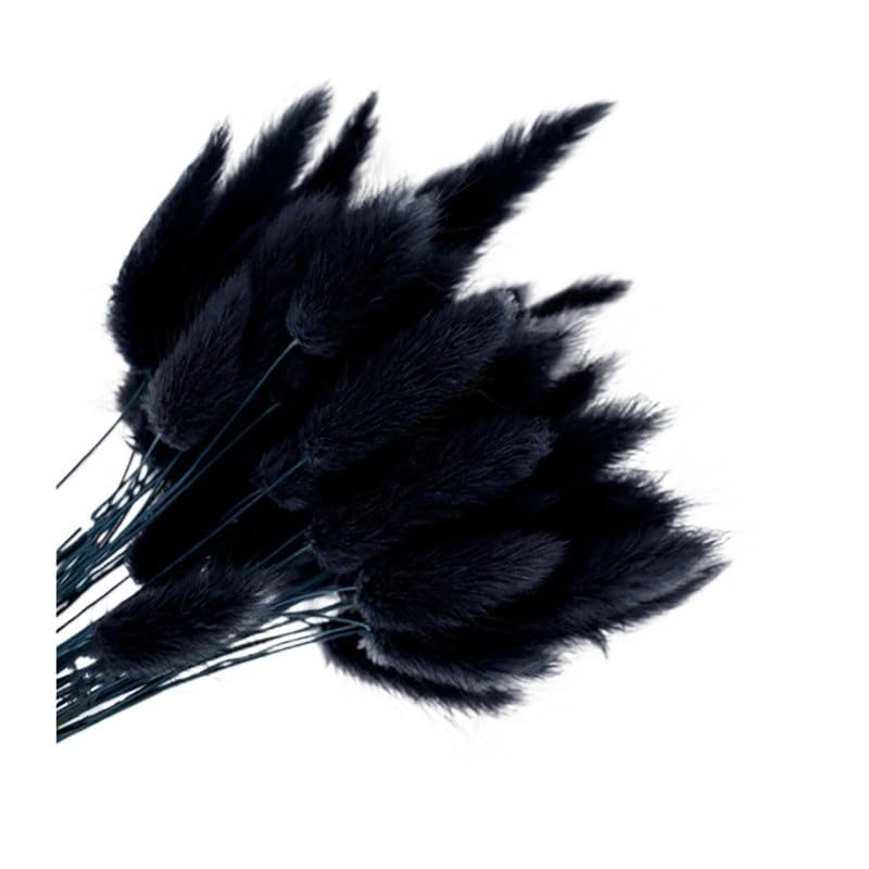Pampas Grass Large Fluffy Black 10 pcs miniatura 1