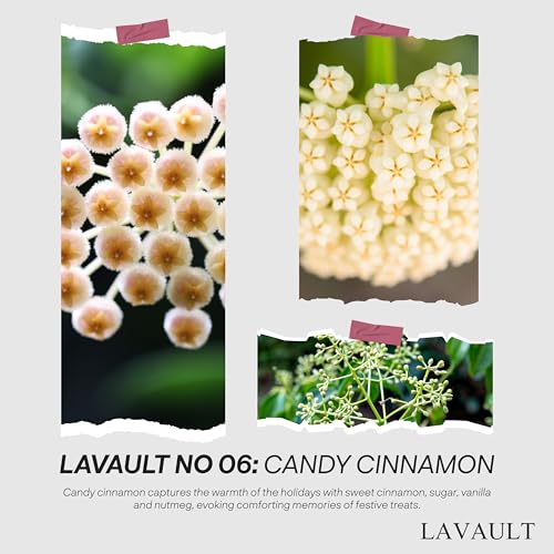 Scented-Candle-Handcrafted-with-100-Natural-Soy-Wax-and-Essential-Oils-for-Stress-Supports-and-Better-Sleep-Long-Lasting-Burn-Time-Perfect-for-Home-and-Office-Decor-Champagne