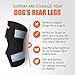 NeoAlly Super Supportive Dog Braces for Rear Hock Joint with Dual Metal Spring Strips Stabilize Canine Hind Legs from Wound Injury Sprains Arthritis (Medium Pair)