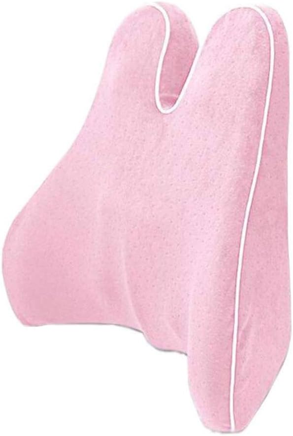 JSEIAJB Car Lumbar Pillow - Lumbar Cushion Office Lumbar Chair Cushion Seat Back Office Worker Lumbar Pillow(D)