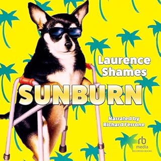 Sunburn Audiolibro Por Laurence Shames arte de portada