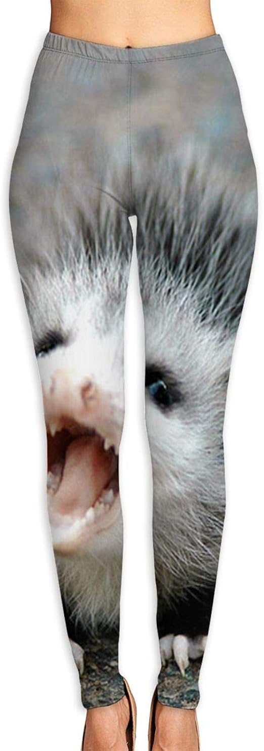 Baby Possum Women Power Flex Yoga Pants 