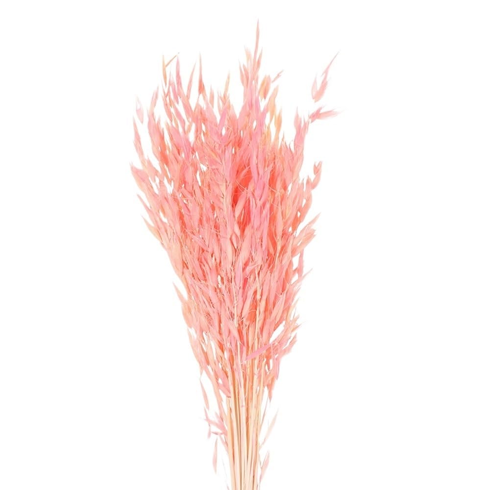 Sztuczna trawa Pampas, Trawa Pampasowa Suszone Kwiaty Wielokolorowe 40-55cm 25/50 szt(Pink-25pcs)