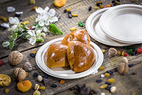 [1000 COUNT] 7" in Round Disposable Plates - Made From Natural Plant Fibers Contemporary Eco Friendly Paper Plastic Alternative 100% by-product - Thumbnail 4