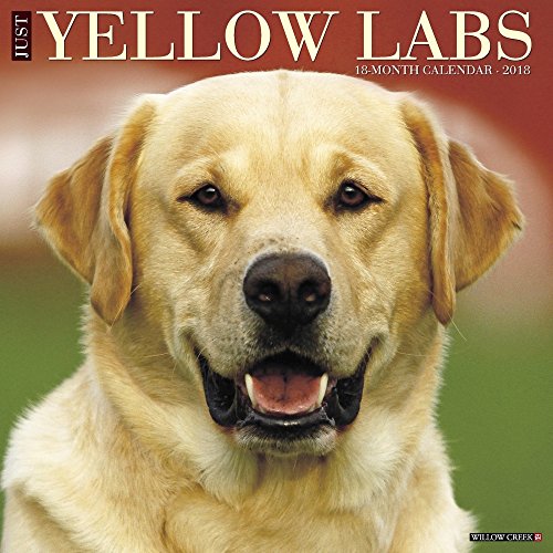 Just Yellow Labs 2018 Calendar